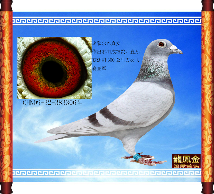 老"狄尔巴"直女