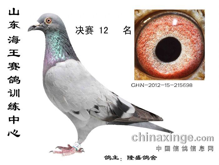 �����������12������