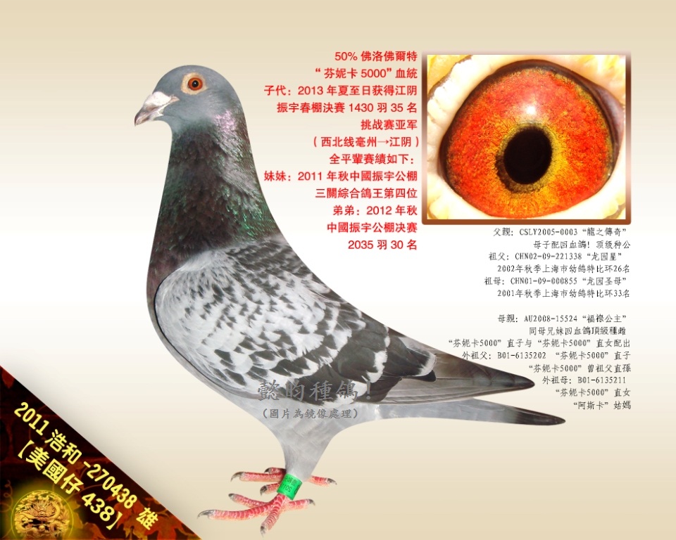 (gu)438ݿ5000O