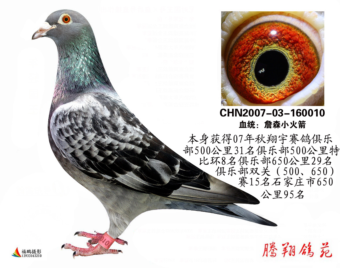 詹森小火箭010已轉(zhuǎn)讓