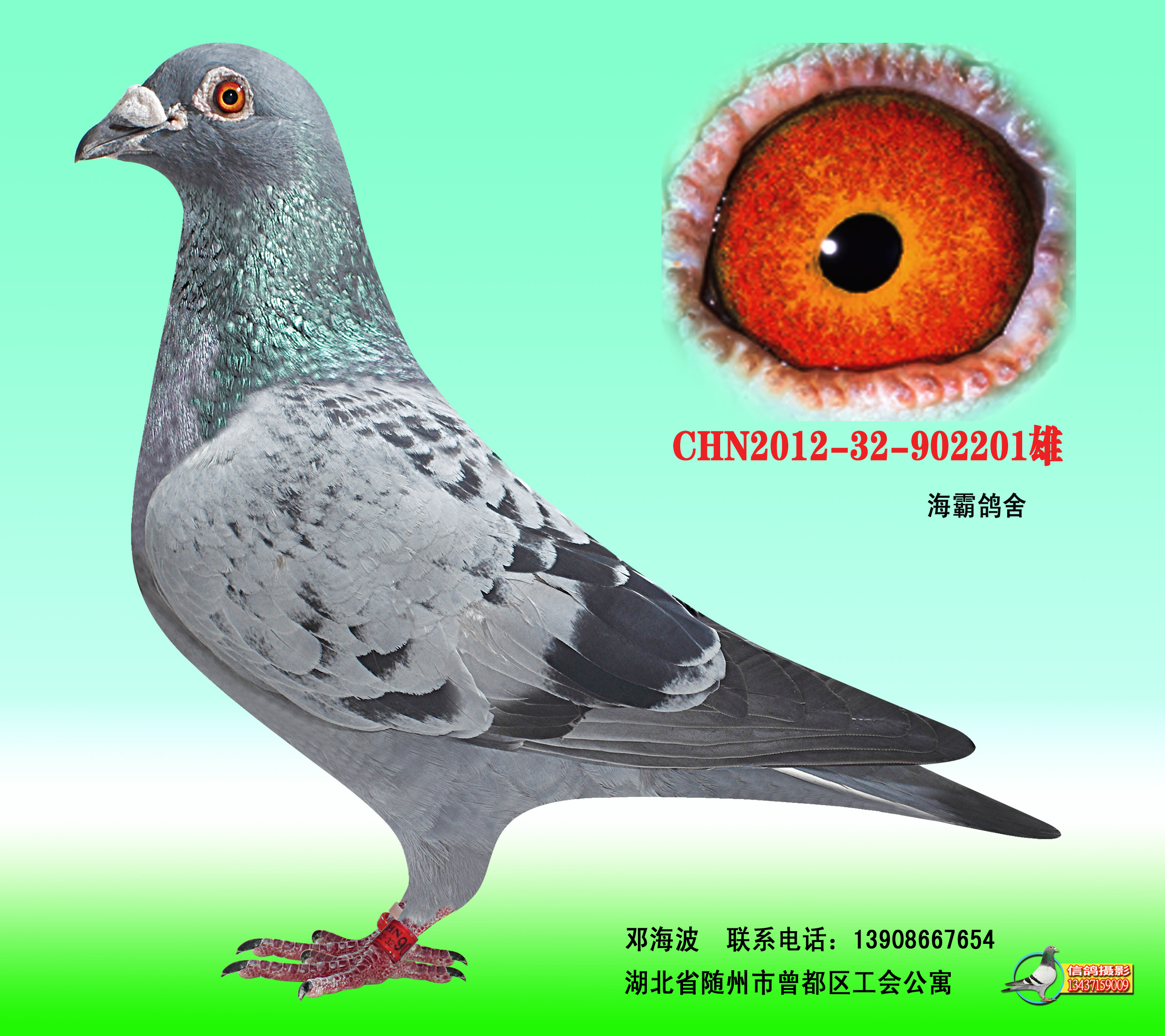 (f)֮2201(ۺϷ)