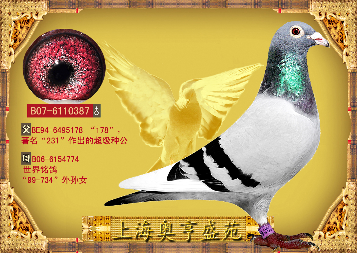 福洛.英格斯 178直子