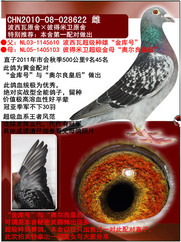 波西瓦