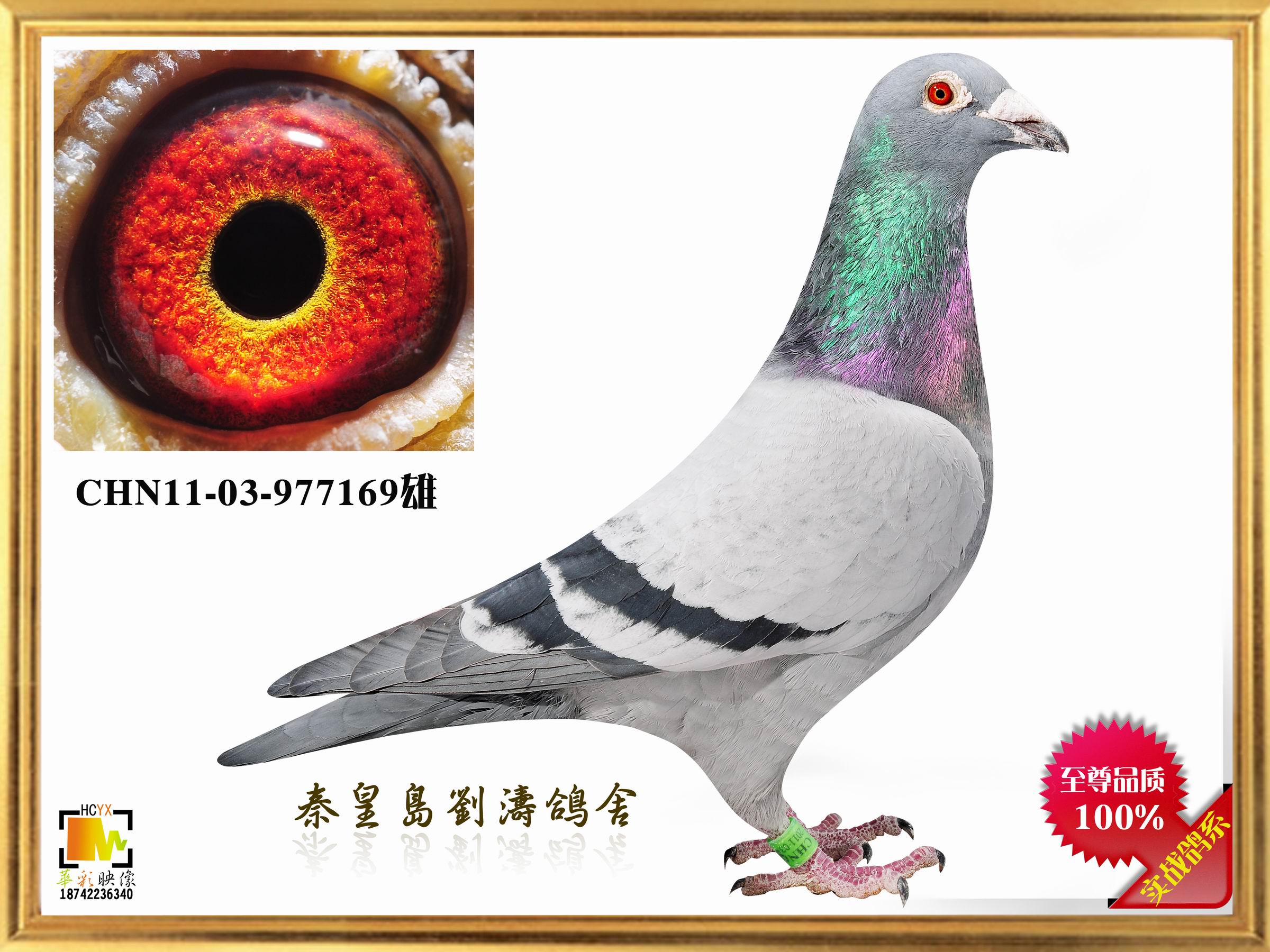 Ӣ169