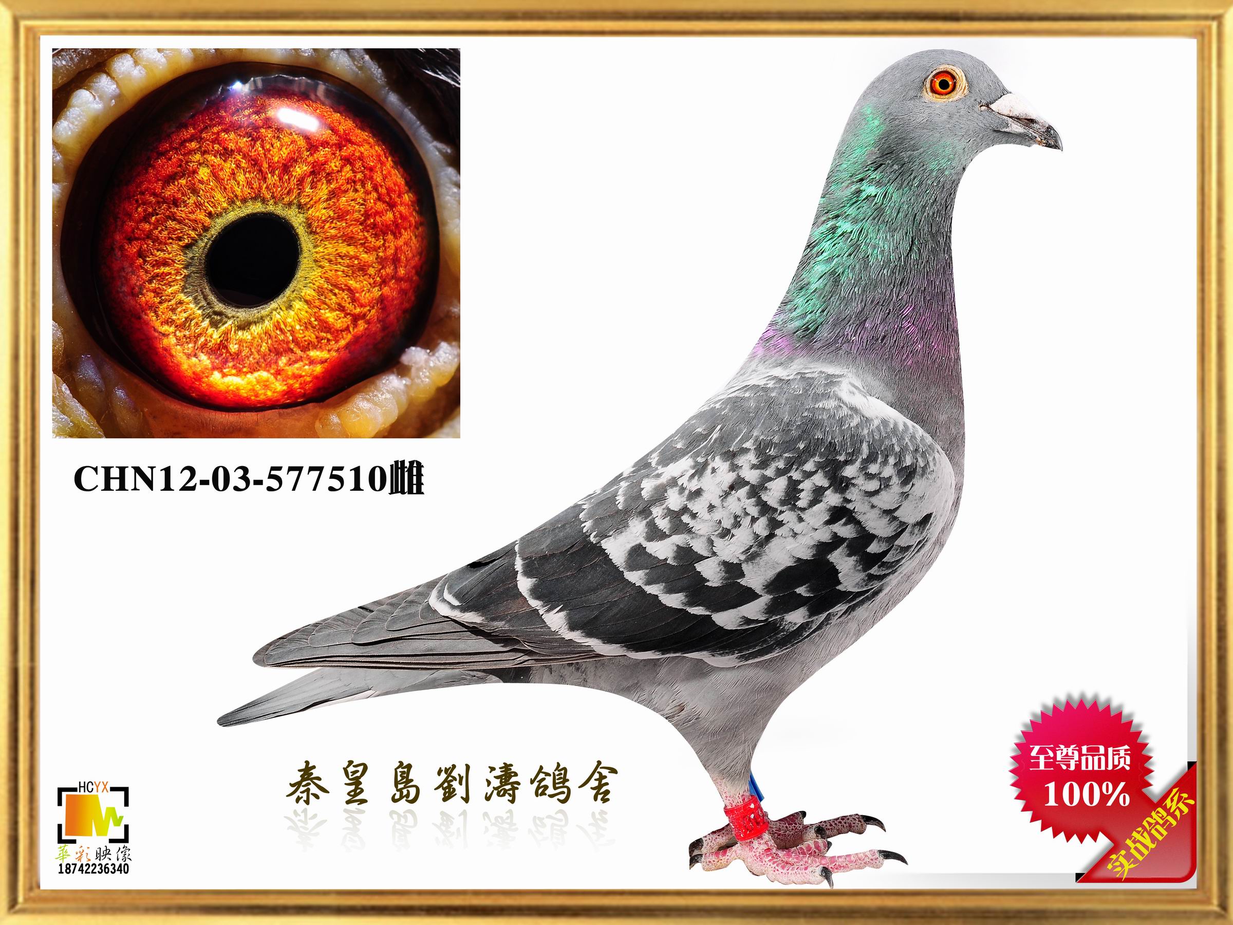 12ë388Fw7