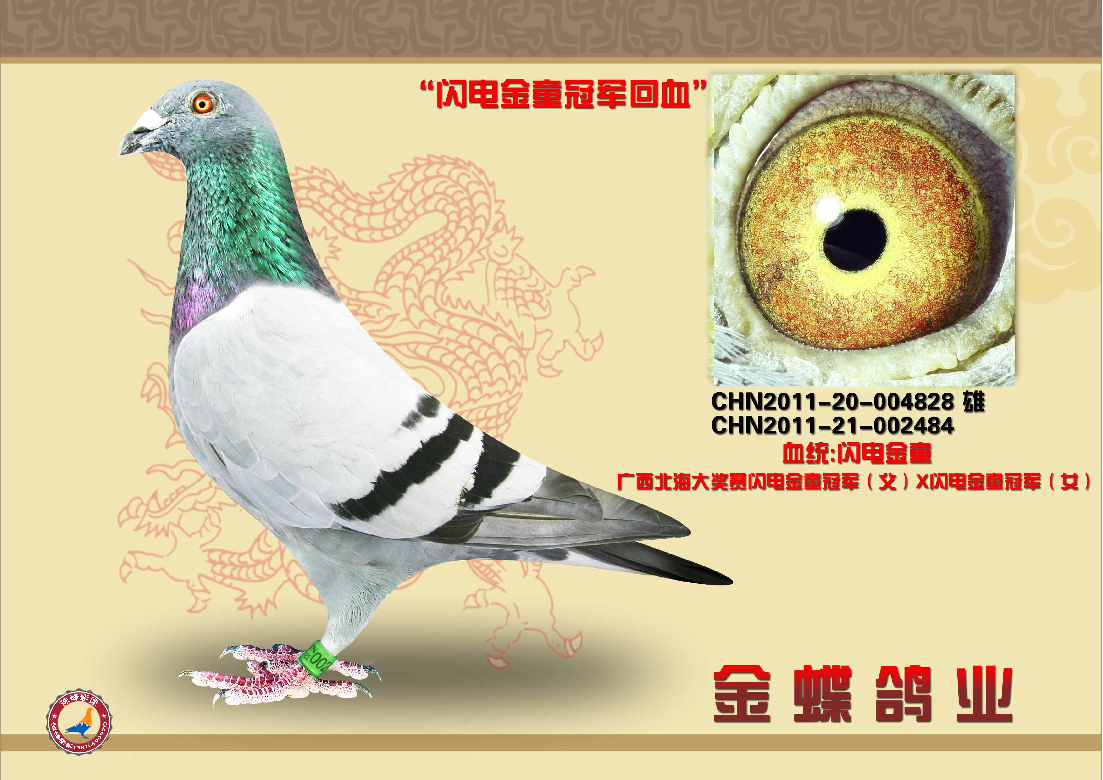闪电金童双冠军回血