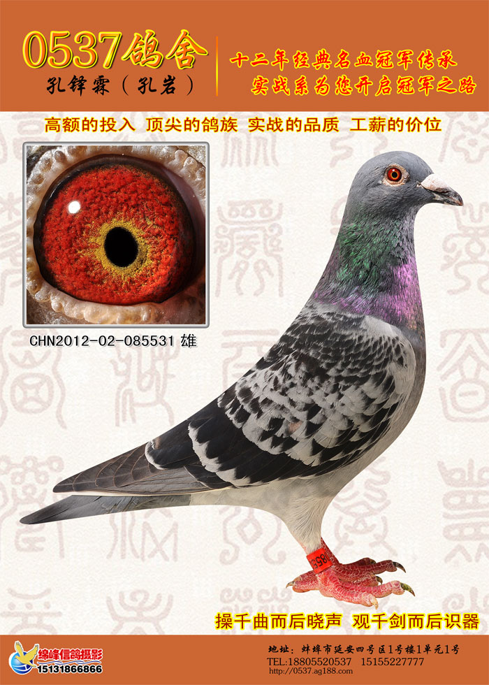 稳拿 马克罗森斯
