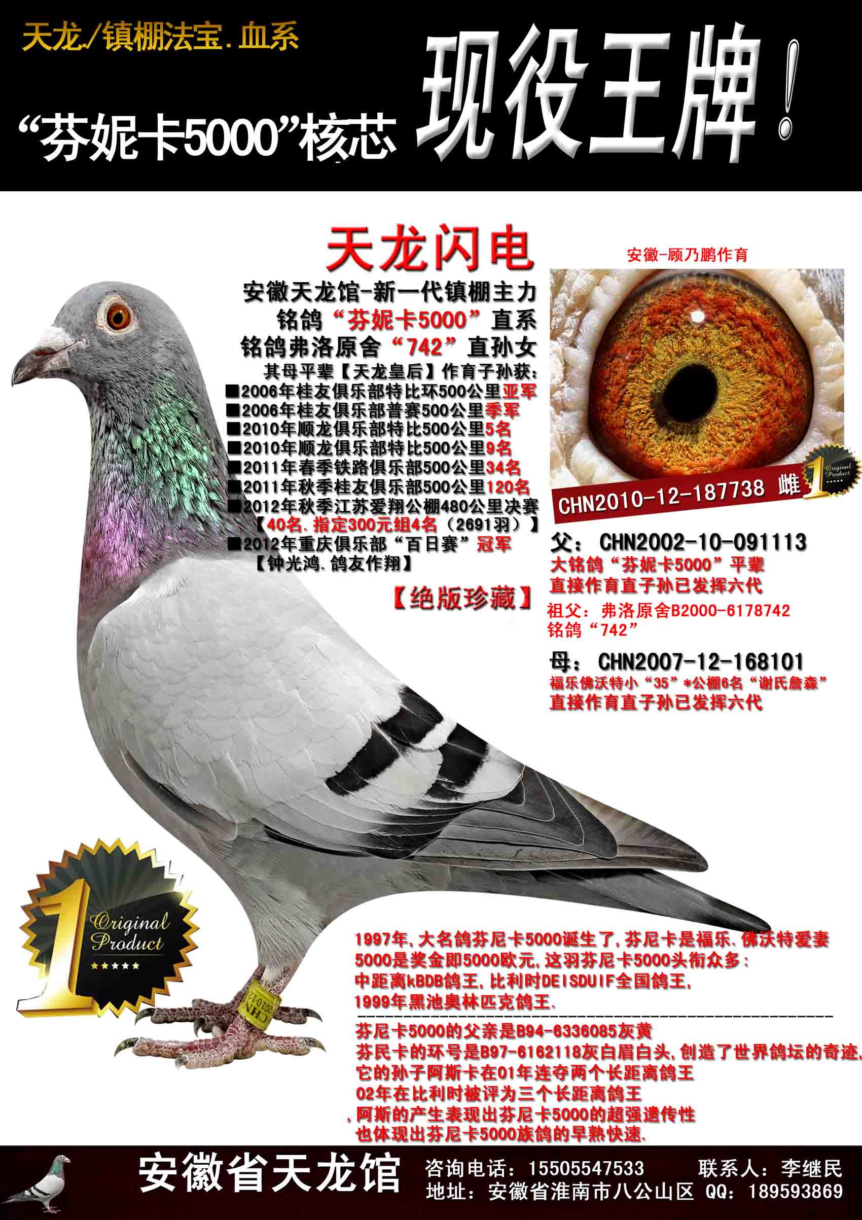 "天龙闪电"芬妮卡5000