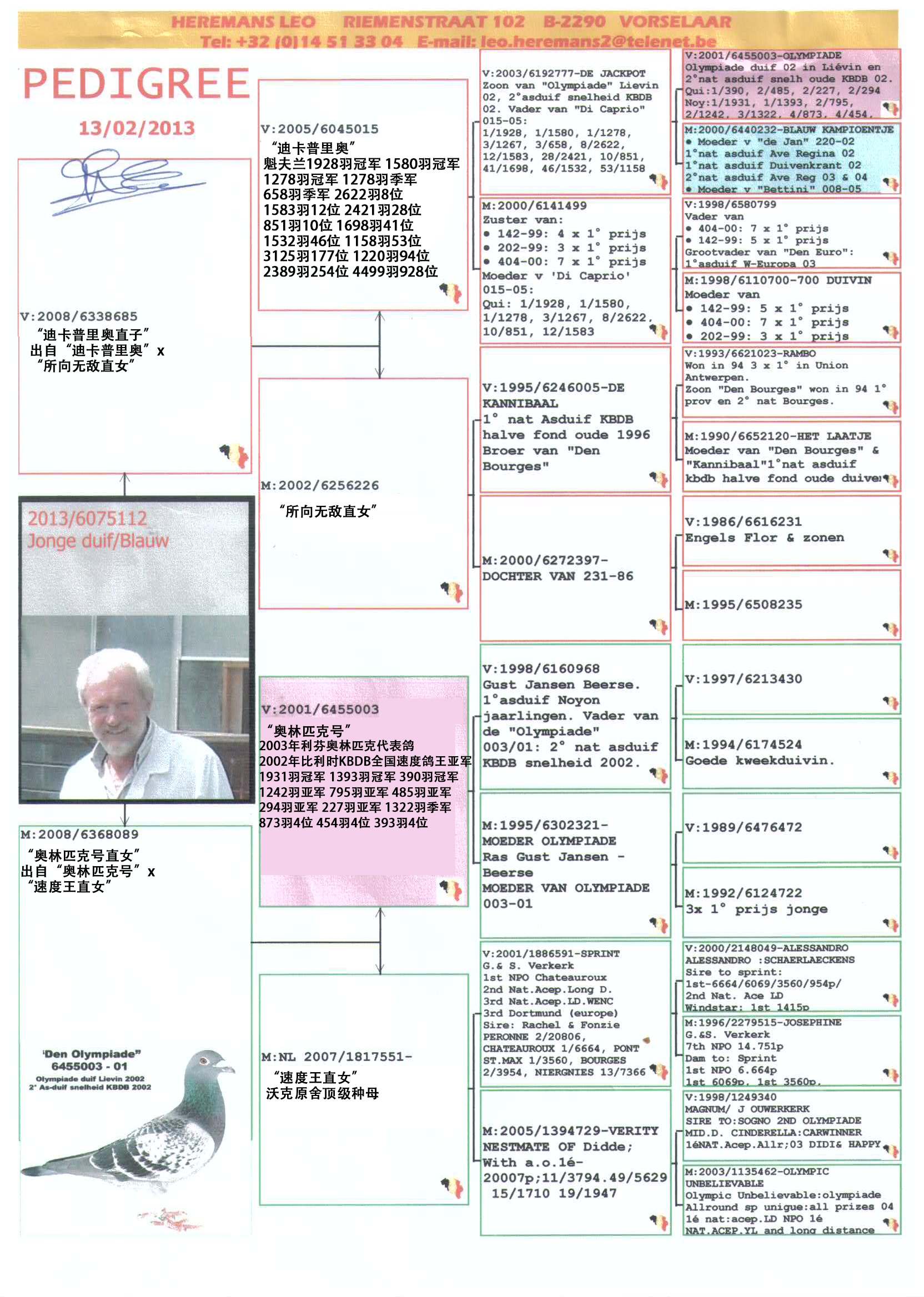 利奥·贺尔曼斯(奥林匹克003家系)