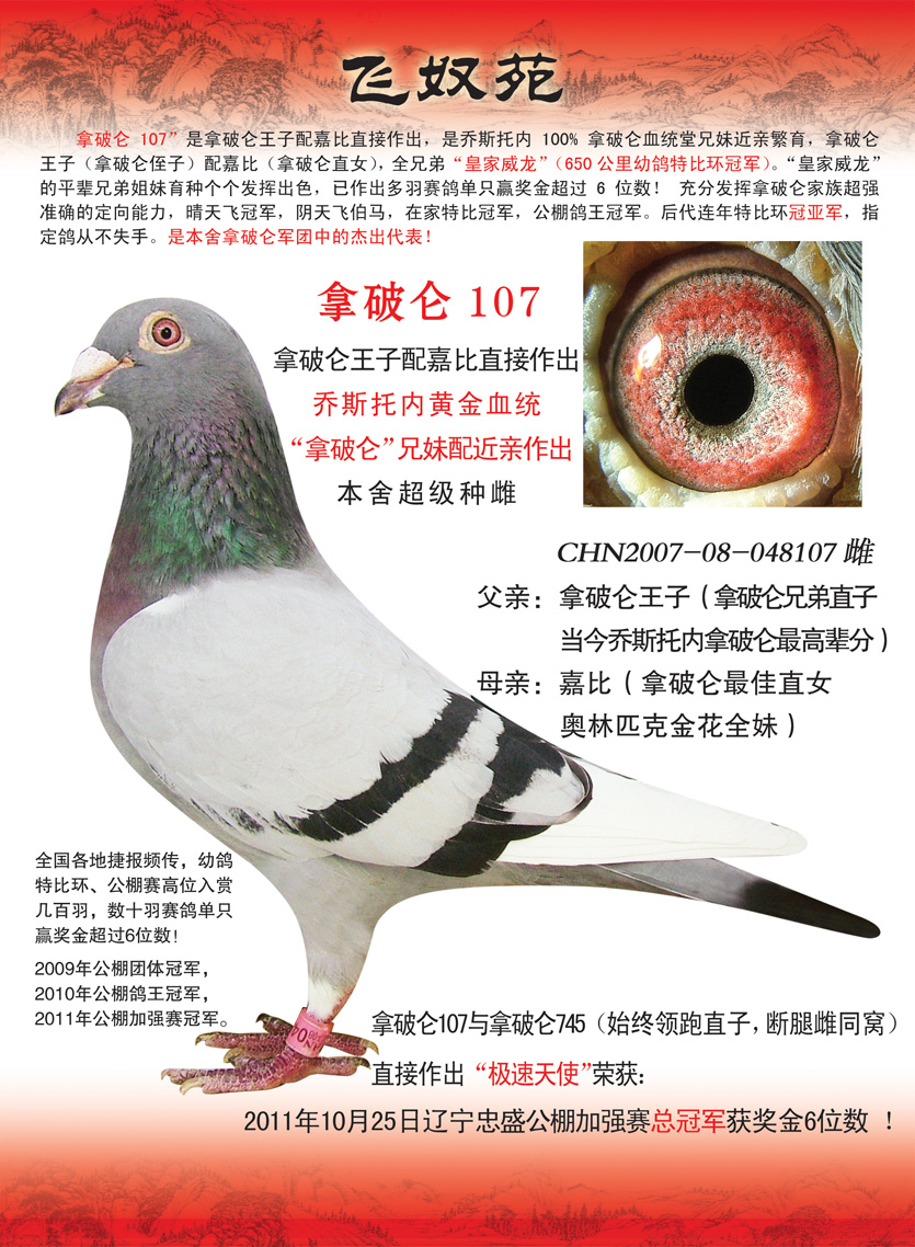 乔斯托内拿破仑107皇家威龙全<em>妹</em>_飞<em>奴</em>苑·乔