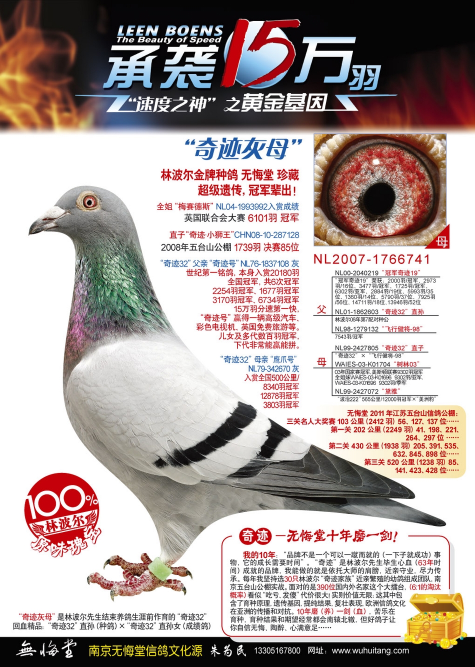 林波尔 奇迹灰母