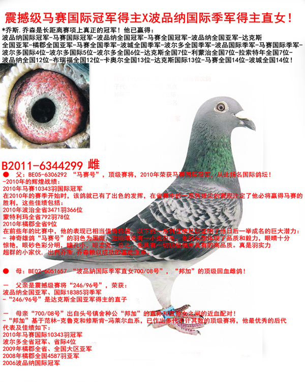 Rِ(gu)H܊ֱŮ