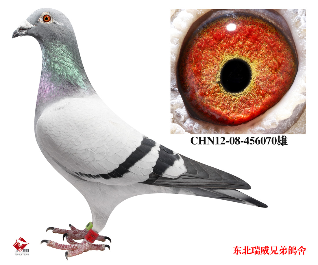 070С(zhn)070