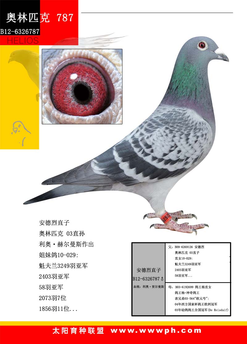 ֱ