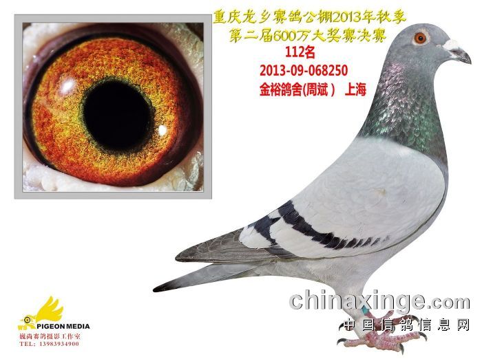 2013年秋重庆龙乡公棚决赛112名
