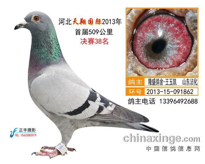 ������ʹ������38������