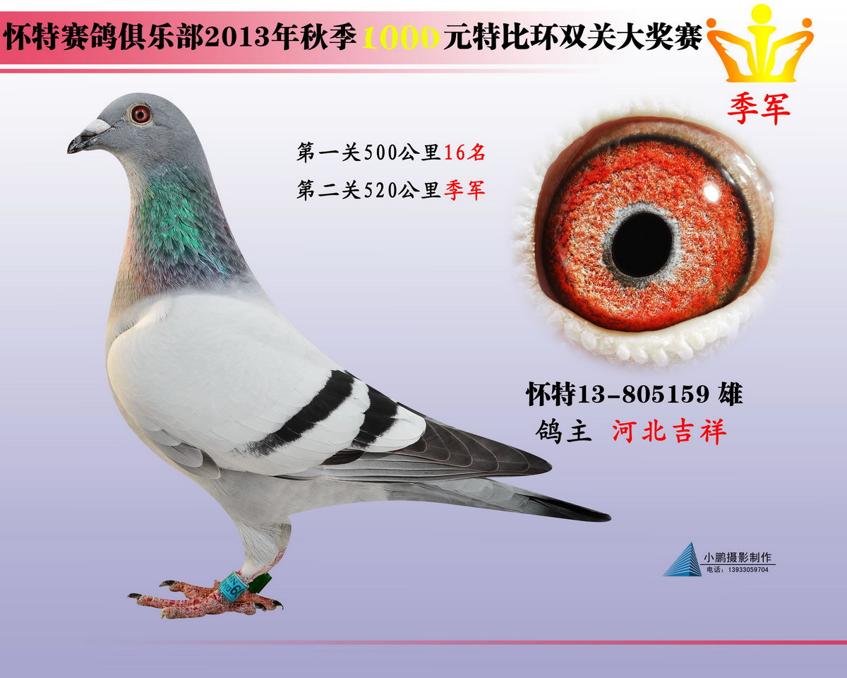 ɣʿ ǧԪرȼ܊