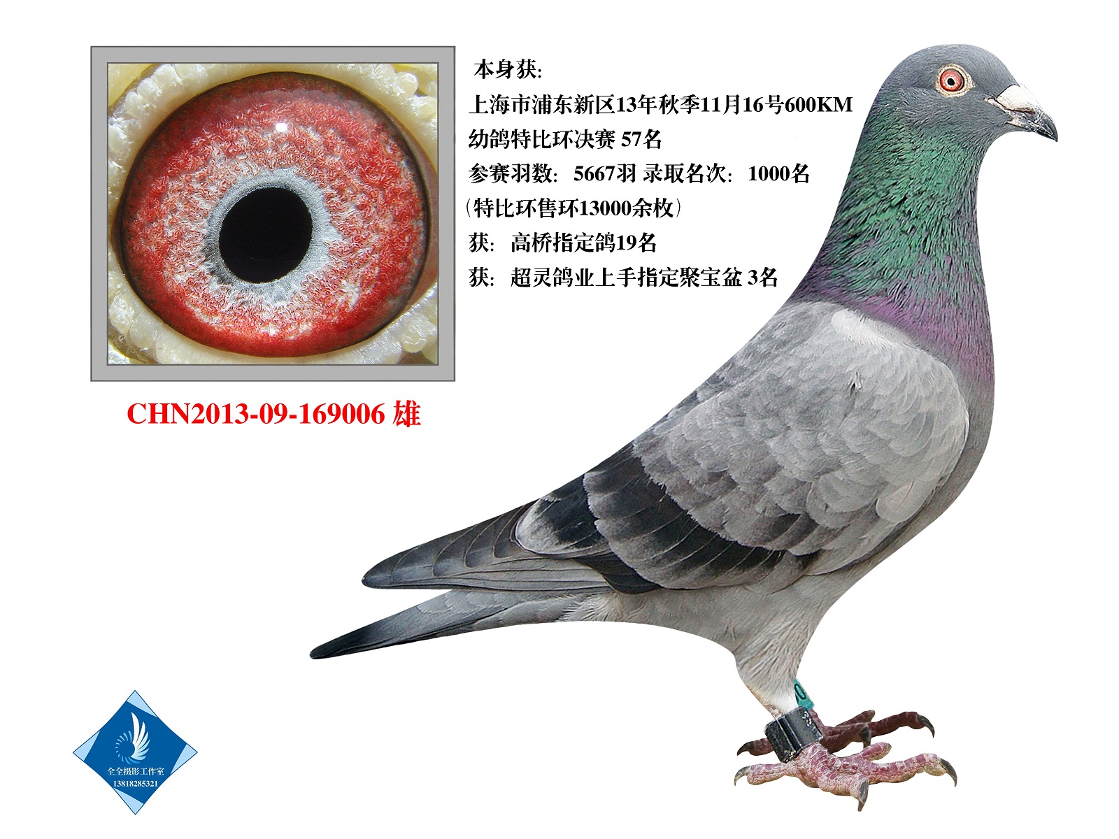 ʿ9006   D(zhun)ؑc