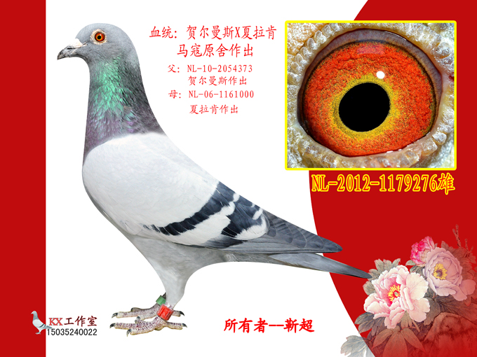 夏拉肯