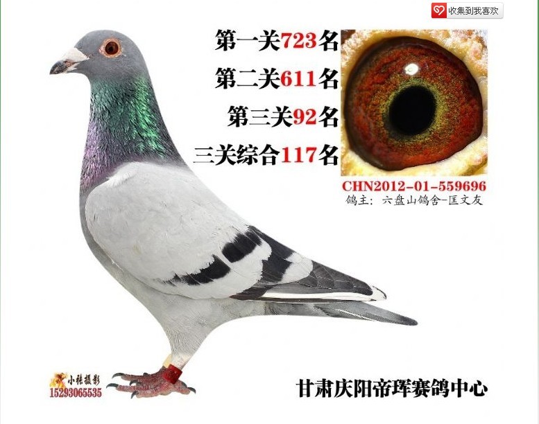 73/ţD(zhun)