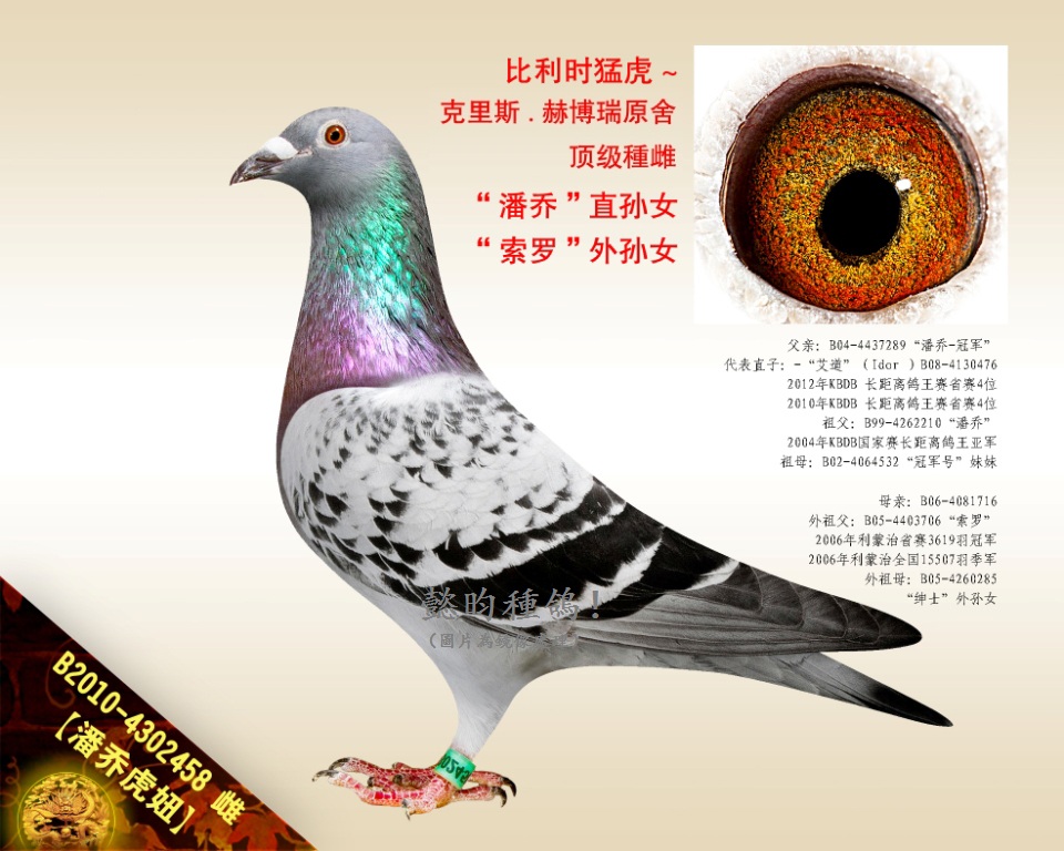 ˆ̻椡ˆֱ̡OŮ