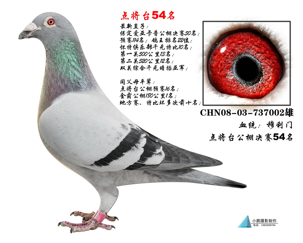 c(din)_(ti)54