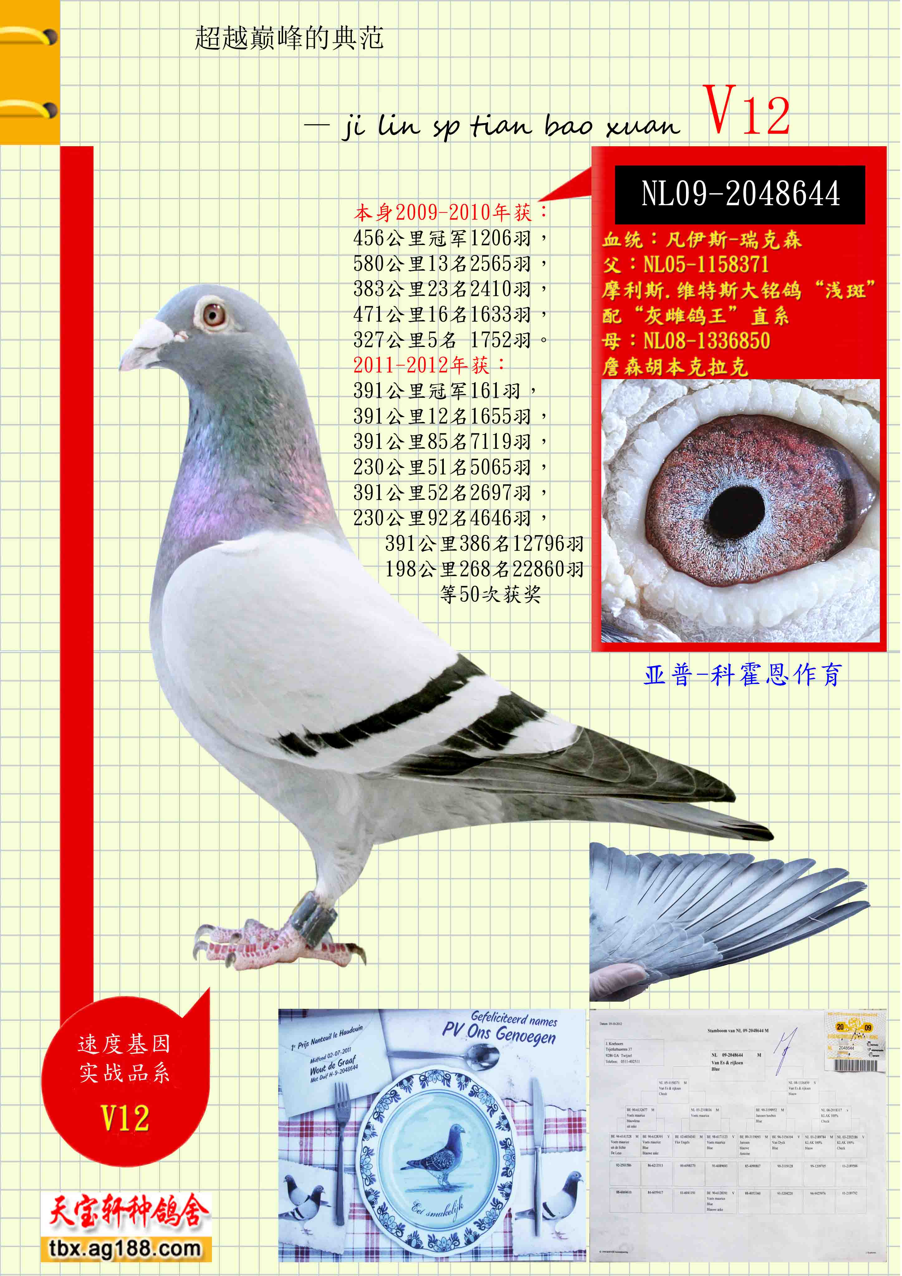 ����.�ƻ���