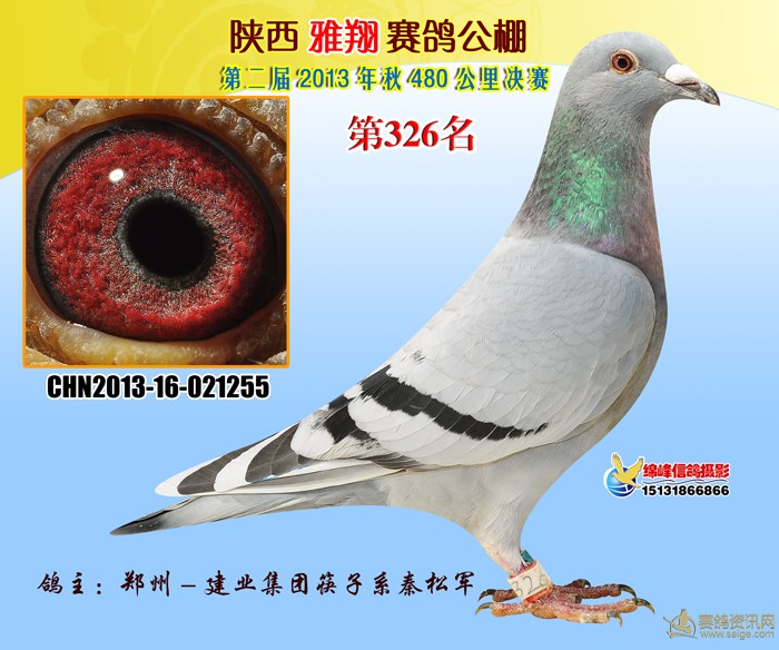蹫Qِ326