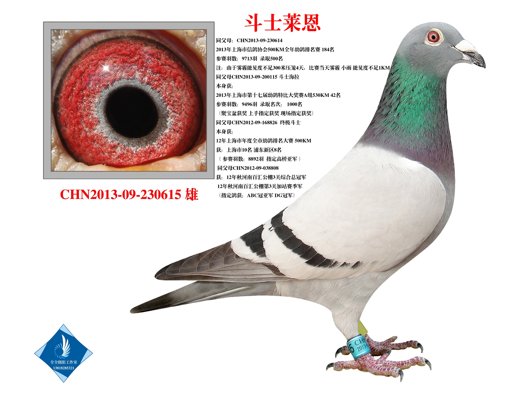 ʿR  D(zhun)