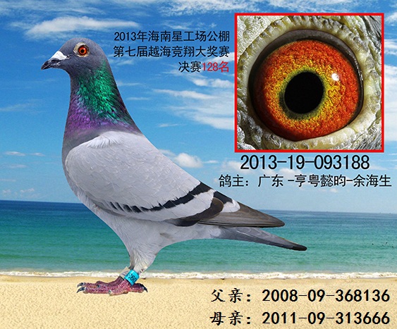 ǹ(chng)093188