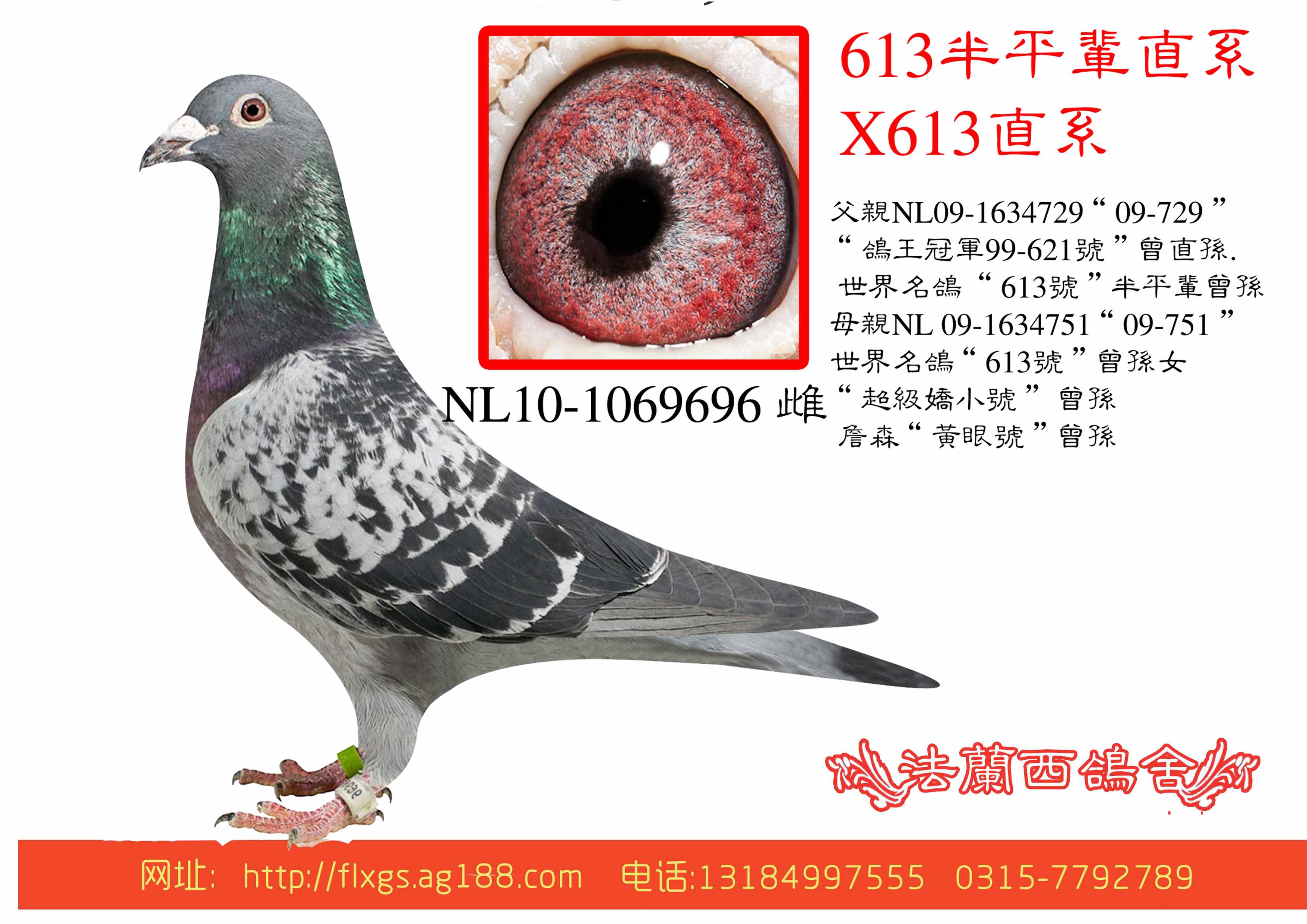 613ƽֱ݅ϵX613ֱϵ