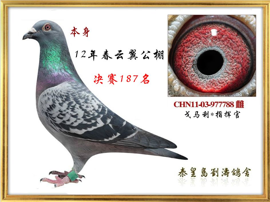 12괺ػʍu187