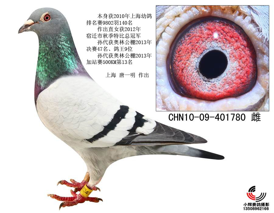 福雷迪.范西