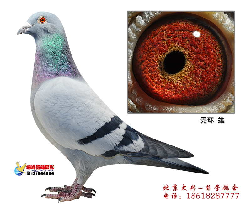 С�R�ˣ����������£�