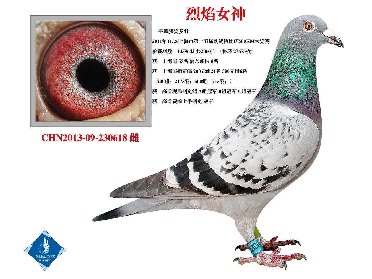 Ů D(zhun)