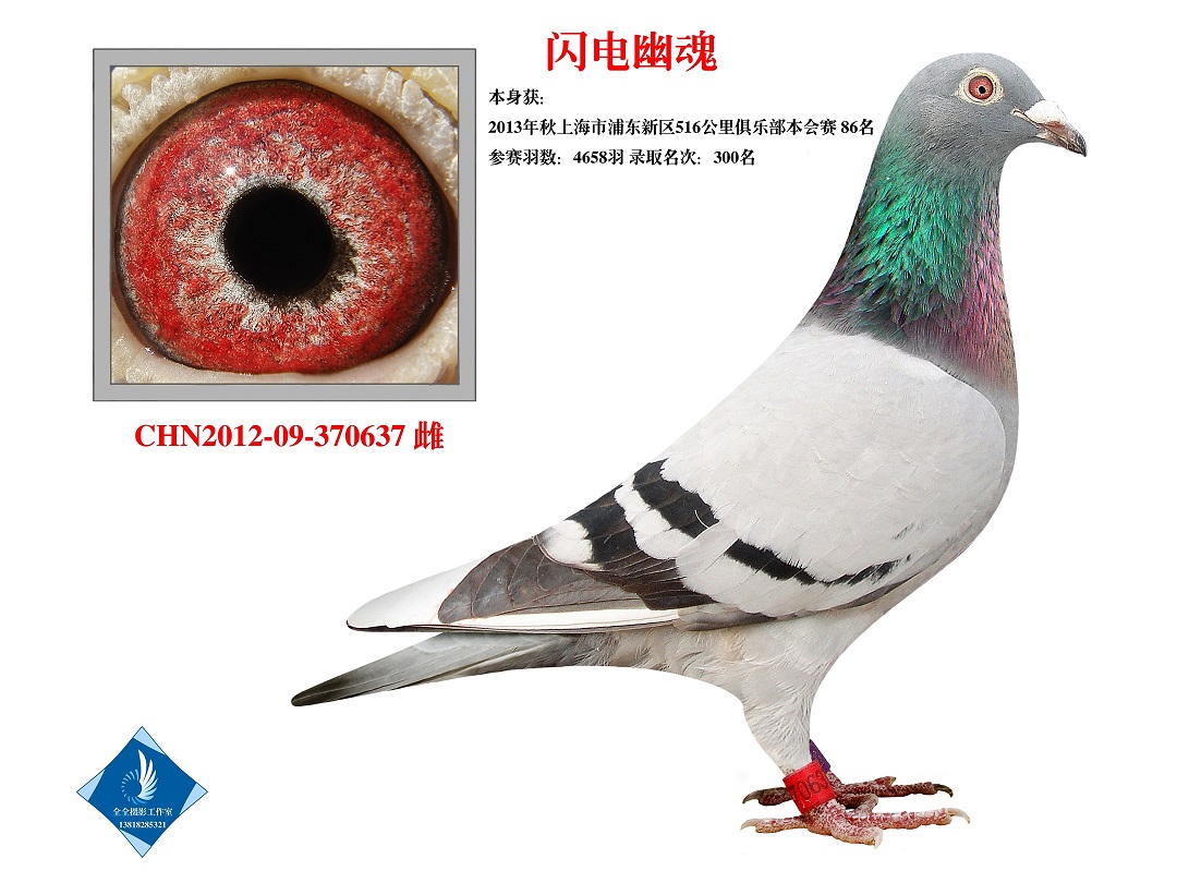 ʿWĻ   D(zhun)