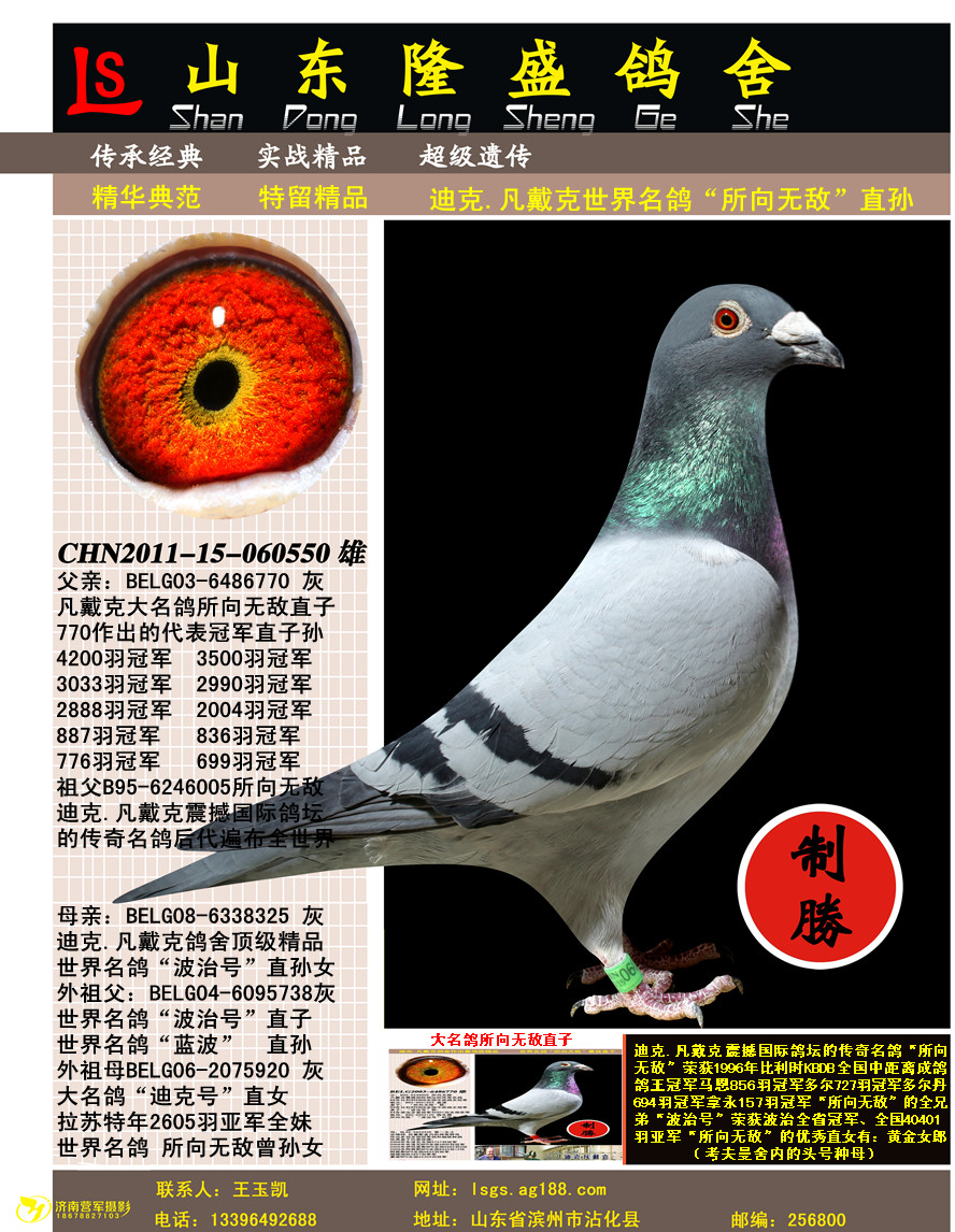 �����������޵�ֱ��