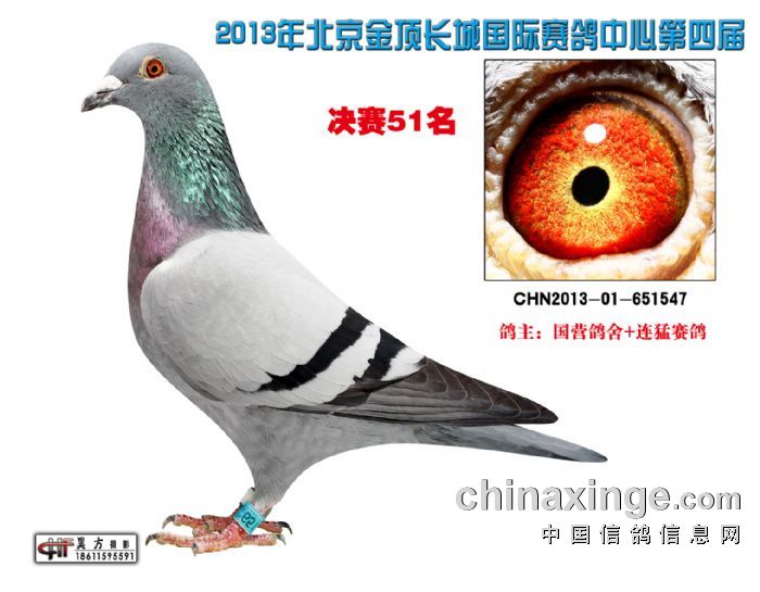 ����L(zh��ng)��51��