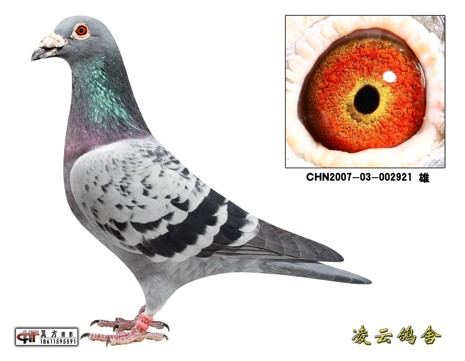 东方不败