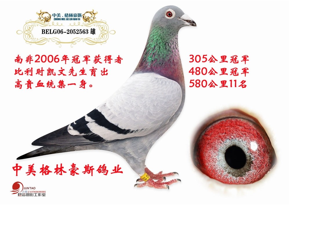 南非将军