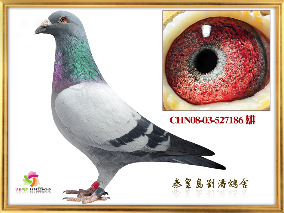 09ػʍuëQِ67H