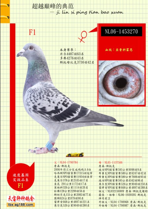 ����.�ƻ���