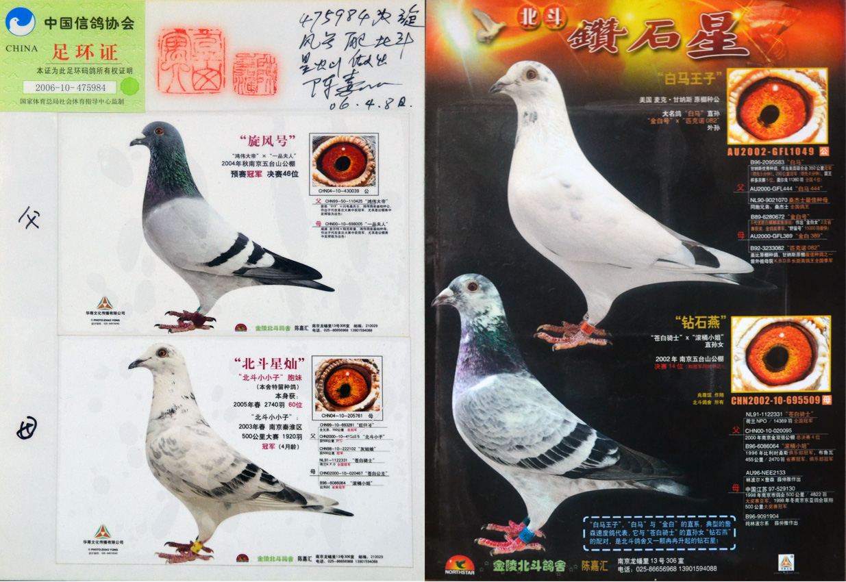 旋风号配北斗星灿,陈嘉汇作出