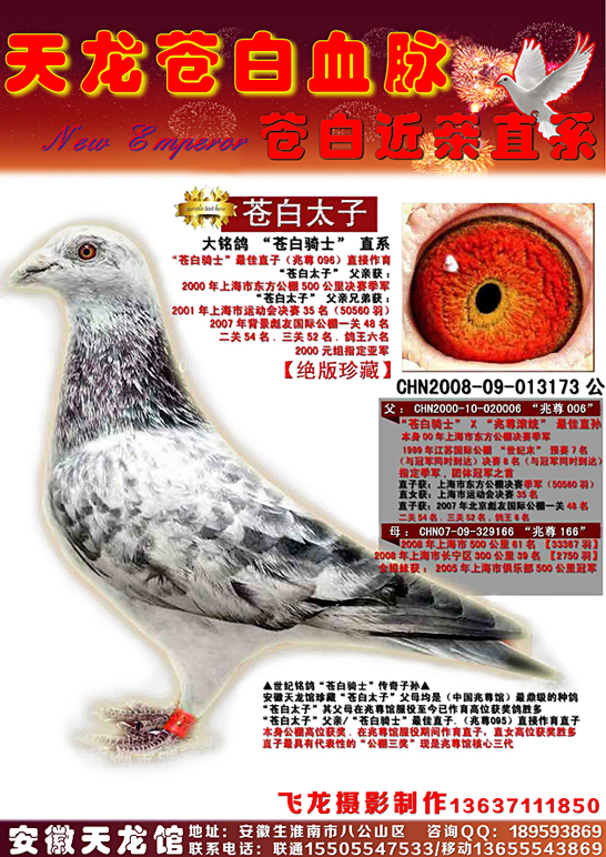 "苍白太子"中国兆尊馆-胡维奇作育已售