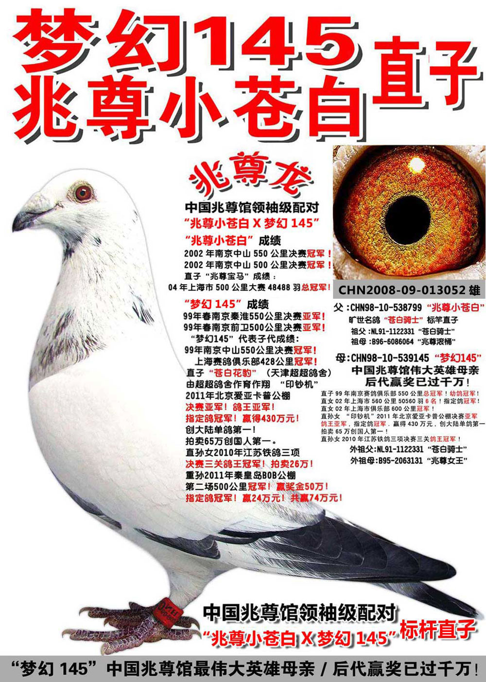 苍白骑士王牌"梦幻145"直子【兆尊龙】