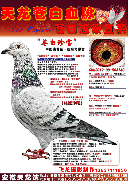 "苍白珍宝"中国兆尊馆—胡维奇作育