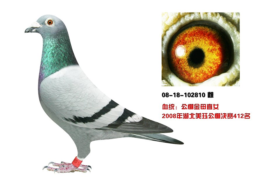 Ҡ