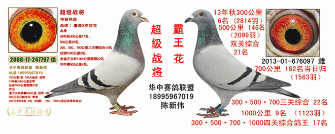 实战配对一