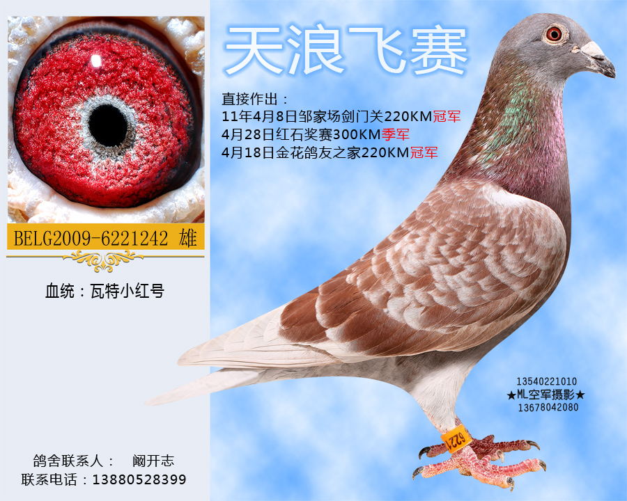 瓦特原舍小红号