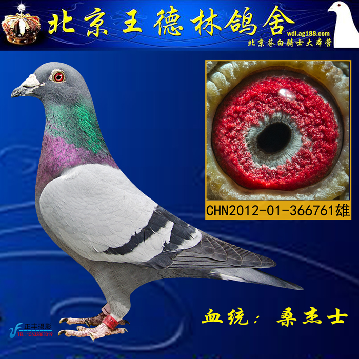 ɣʿ761uƷ۱